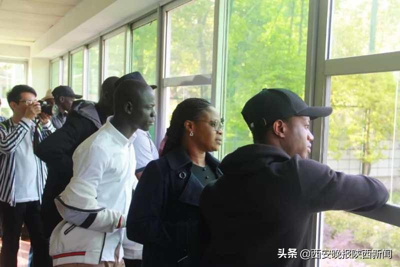 漢中洋縣最新新聞報道速遞