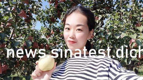 瑠川莉娜，數(shù)字世界的璀璨明珠與無限下載的啟程點(diǎn)