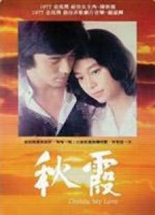 秋霞高清國語在線觀看，電影藝術(shù)與技術(shù)的完美融合