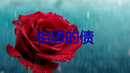 相思債下載，深情與思念的旋律交織