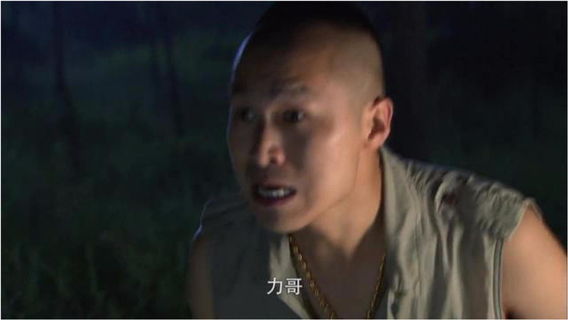樹(shù)春殺人始末在線觀看，揭示悲劇背后的真相與反思社會(huì)現(xiàn)象