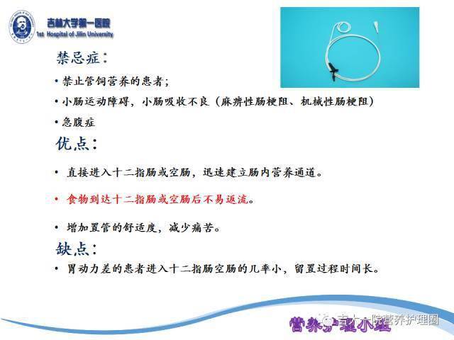 鼻腸管護(hù)理PPT解讀，最新指南與要點(diǎn)解析