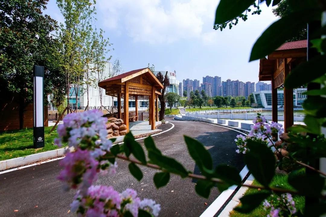 長沙婦科好醫(yī)生在線，專業(yè)醫(yī)療服務(wù)的力量與便捷體驗(yàn)