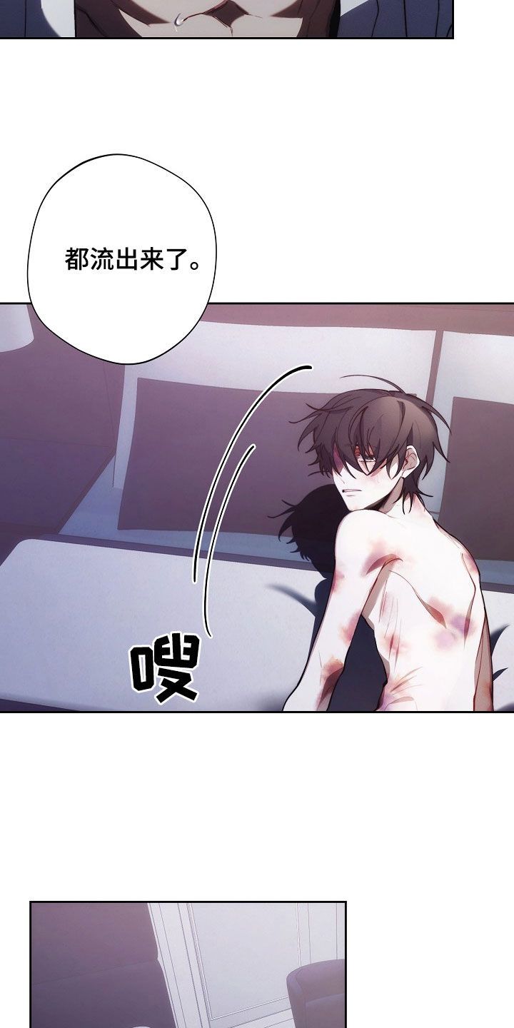 鴿子血?jiǎng)勇嵫记?，?mèng)想與熱血的交織