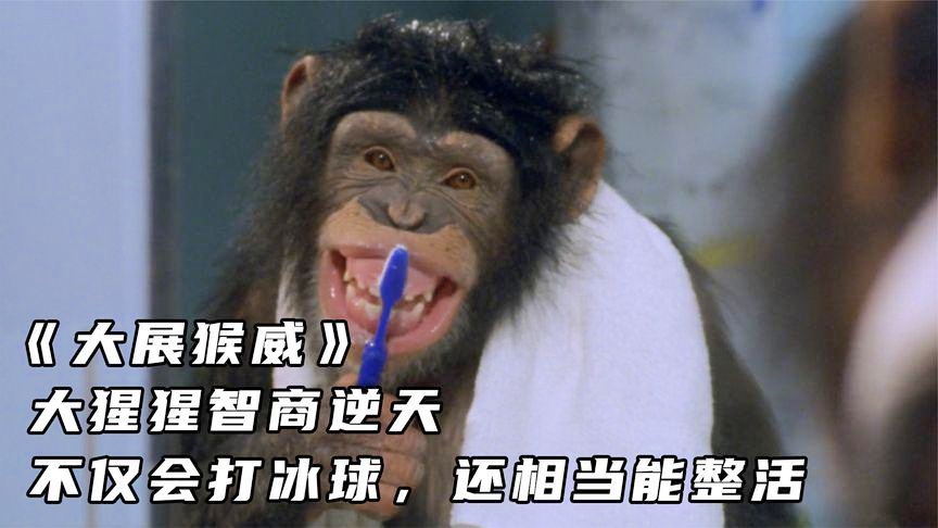 大展猴威，國(guó)語(yǔ)在線觀看的魅力與影響力