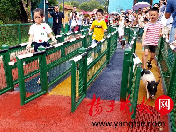 奔跑吧豬豬俠，冒險與勇氣下載之旅