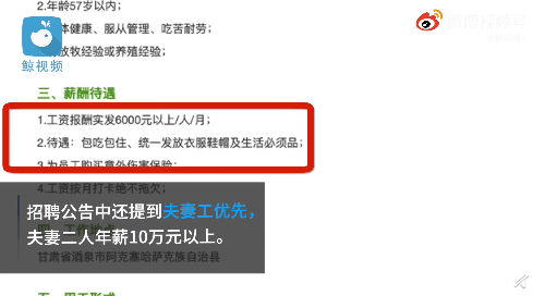上海夫妻工招聘啟事，攜手共創(chuàng)美好未來(lái)之路