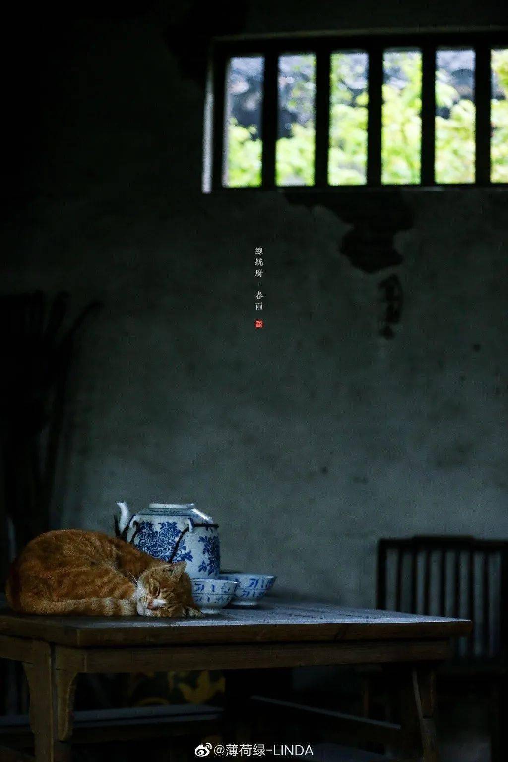 欲忘之外，中文在線觀看的魅力與深度探究
