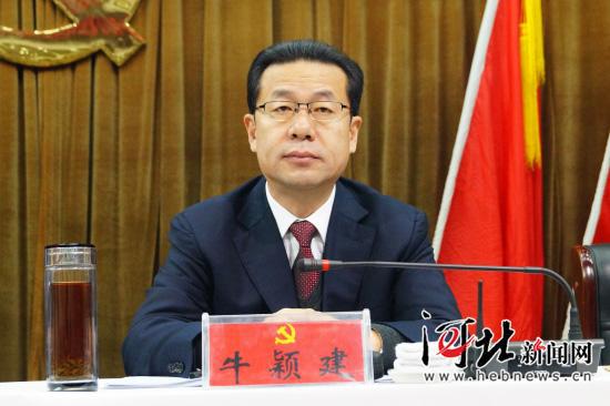 河北雄縣新聞最新消息全面報道
