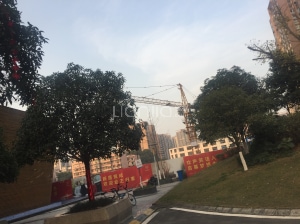 格林城房價最新消息，市場走勢與購房指南