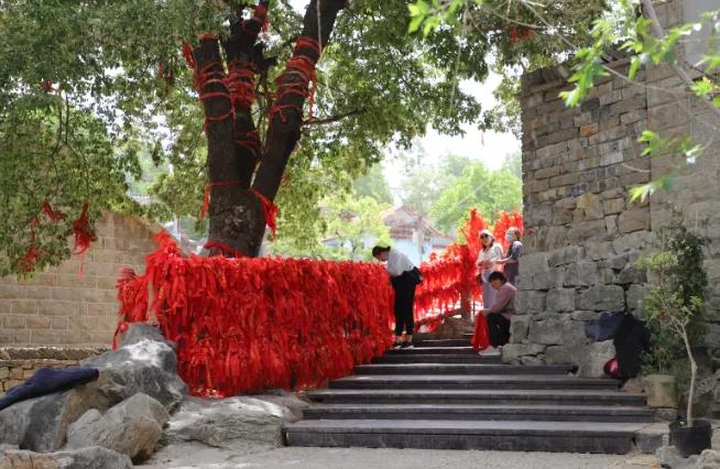 費縣最新發(fā)展規(guī)劃，塑造未來城市的藍圖