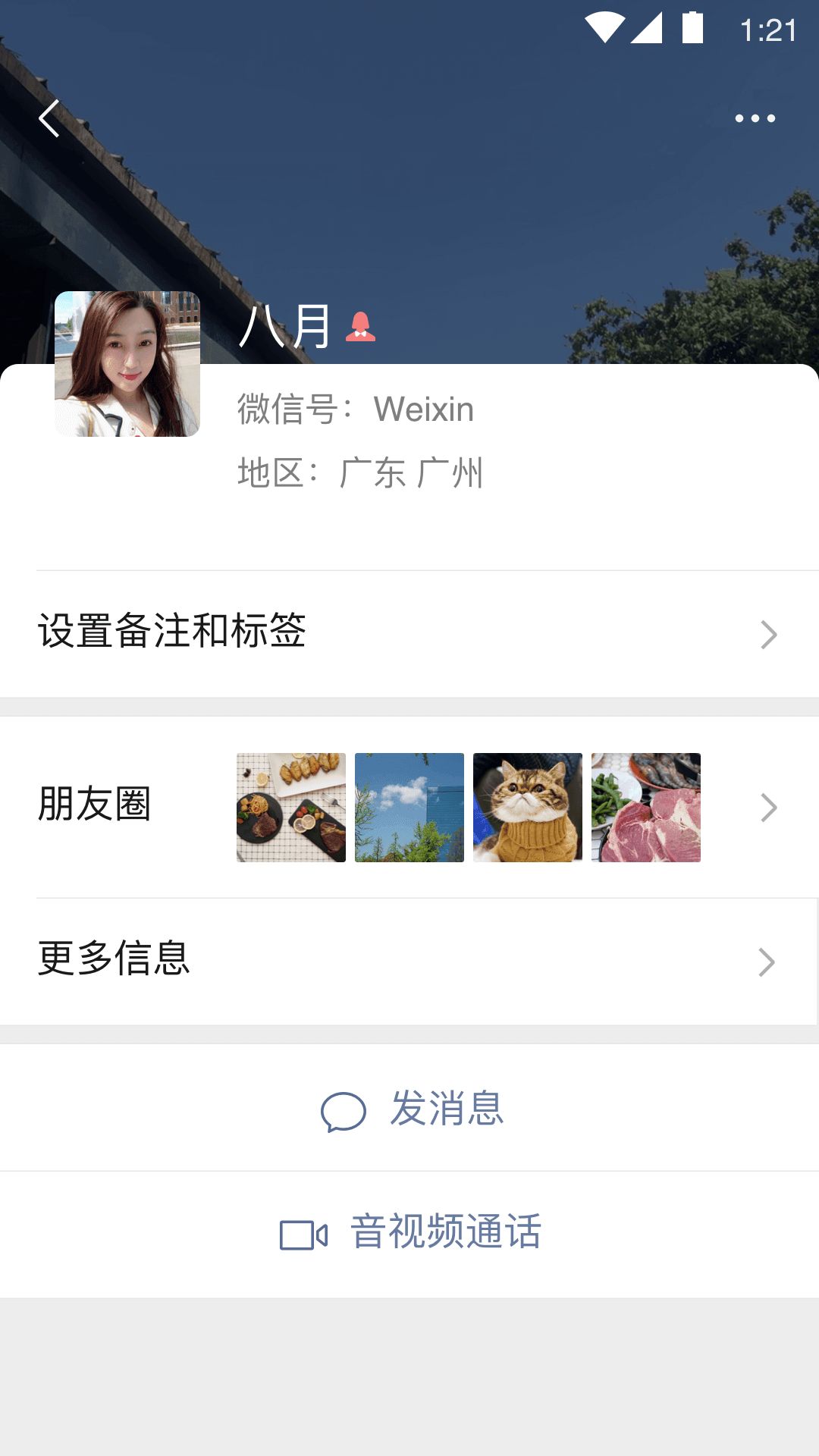 最新高層絕密內參微信，揭秘與探討