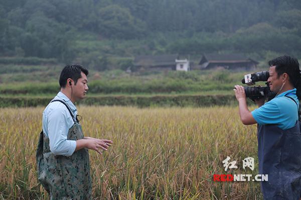 辰溪水災(zāi)最新消息，一線救援與災(zāi)后重建的進(jìn)展與挑戰(zhàn)