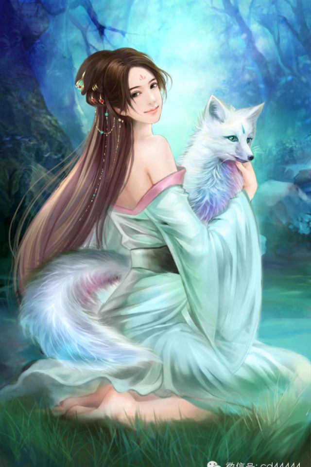 狐女蘇夭夭最新章節(jié)探秘，神秘之旅繼續(xù)展開