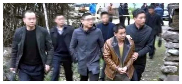 浙江省第一懸案揭秘，探尋真相之路的最新進展