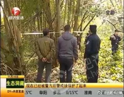 2025年1月10日 第27頁