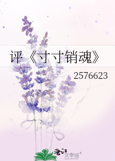 寸寸銷魂，最新章節(jié)的極致魅力