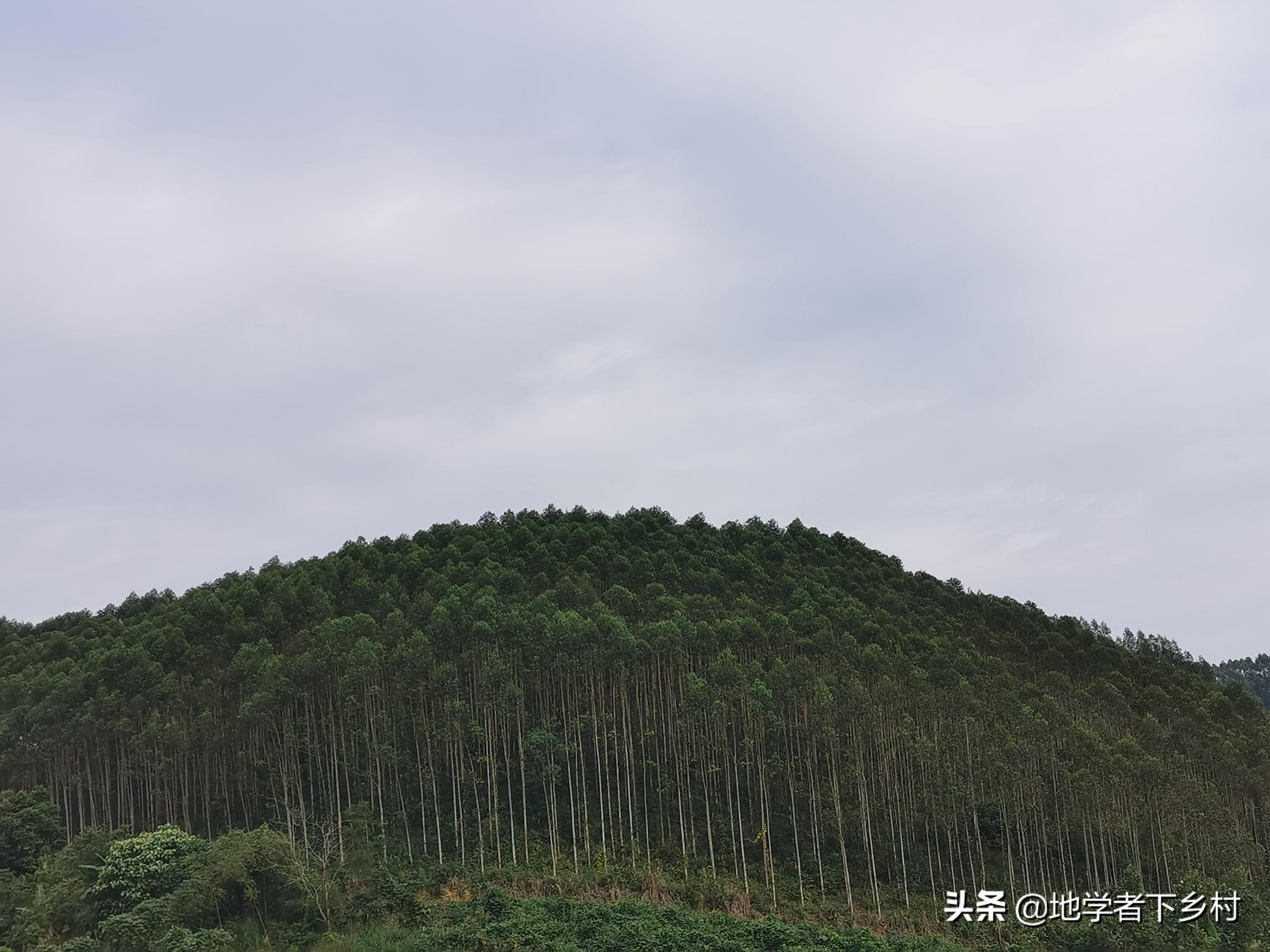 亭亮鄉(xiāng)交通新動態(tài)，發(fā)展助力鄉(xiāng)村振興
